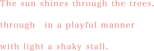 木漏れ日を透かして光と戯れるように揺らぐストール。